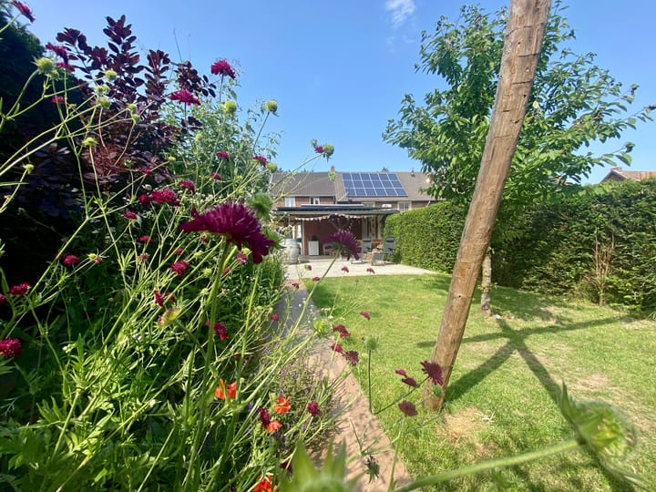 Peijerstraat 56 dans Echt photo