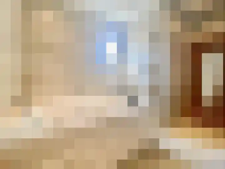 Peijerstraat 56 Echt thumbnail 13