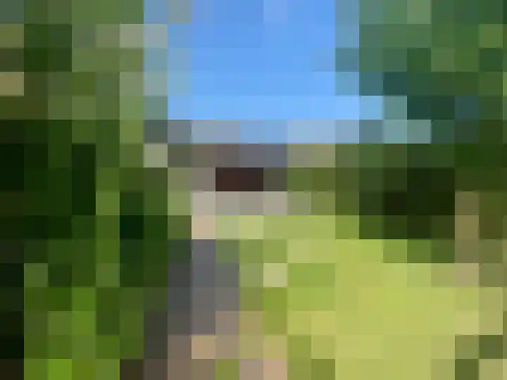 Peijerstraat 56 Echt thumbnail 32