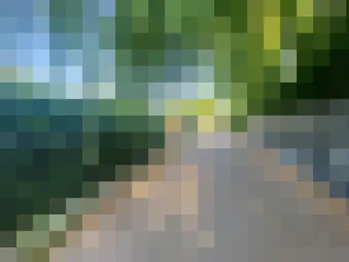 Peijerstraat 56 Echt thumbnail 37