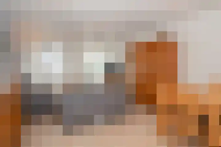 Peijerstraat 69 B Echt thumbnail 10