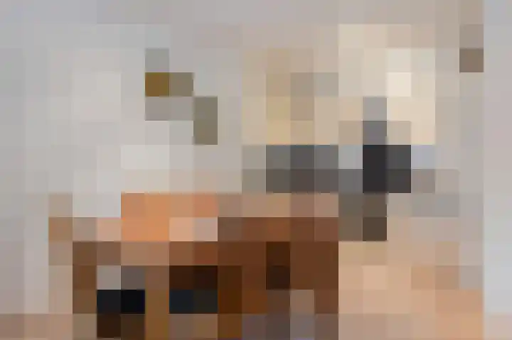 Peijerstraat 69 B Echt thumbnail 13