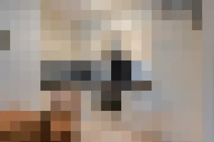 Peijerstraat 69 B Echt thumbnail 14