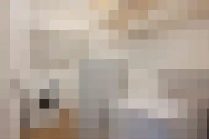 Peijerstraat 69 B Echt thumbnail 21