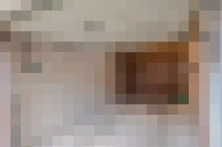 Peijerstraat 69 B Echt thumbnail 29