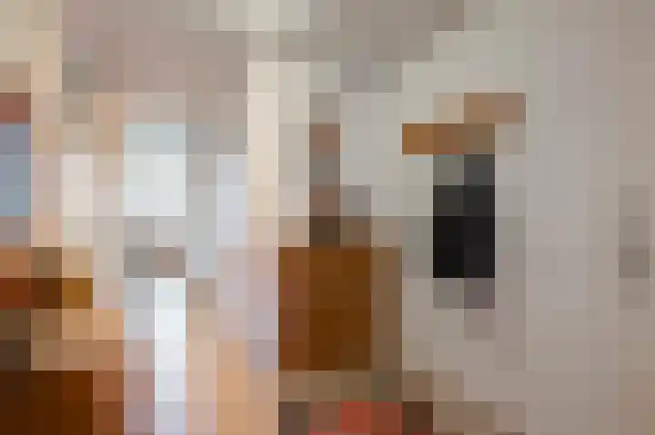 Peijerstraat 69 B Echt thumbnail 7