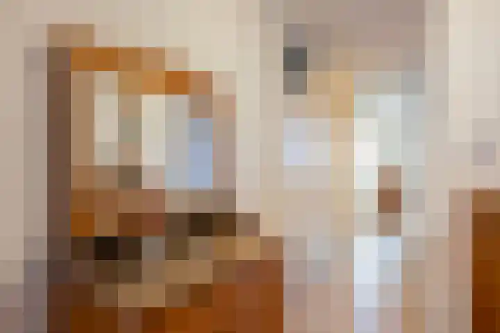 Peijerstraat 69 B Echt thumbnail 8