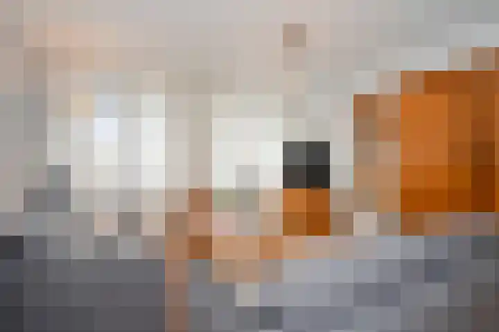 Peijerstraat 69 B Echt thumbnail 9