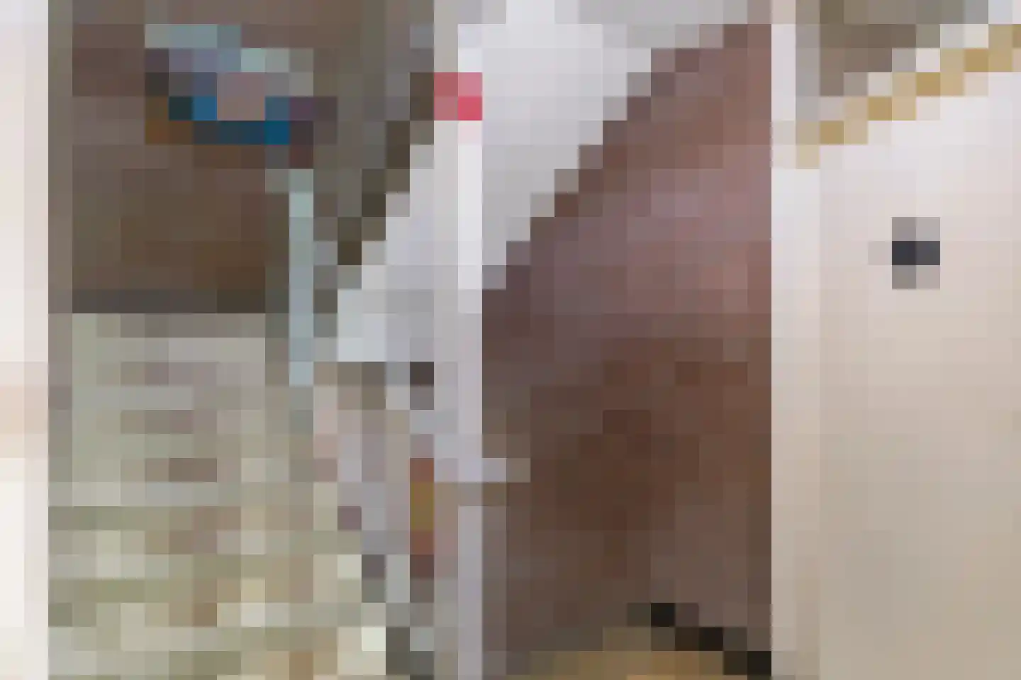 Peijerstraat 69 E Echt thumbnail 10