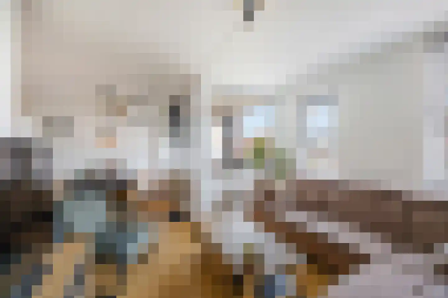 Peijerstraat 69 E Echt thumbnail 13