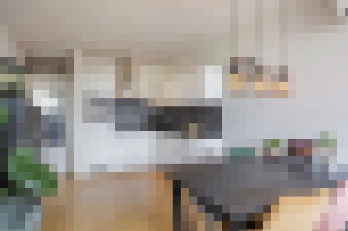 Peijerstraat 69 E Echt thumbnail 20
