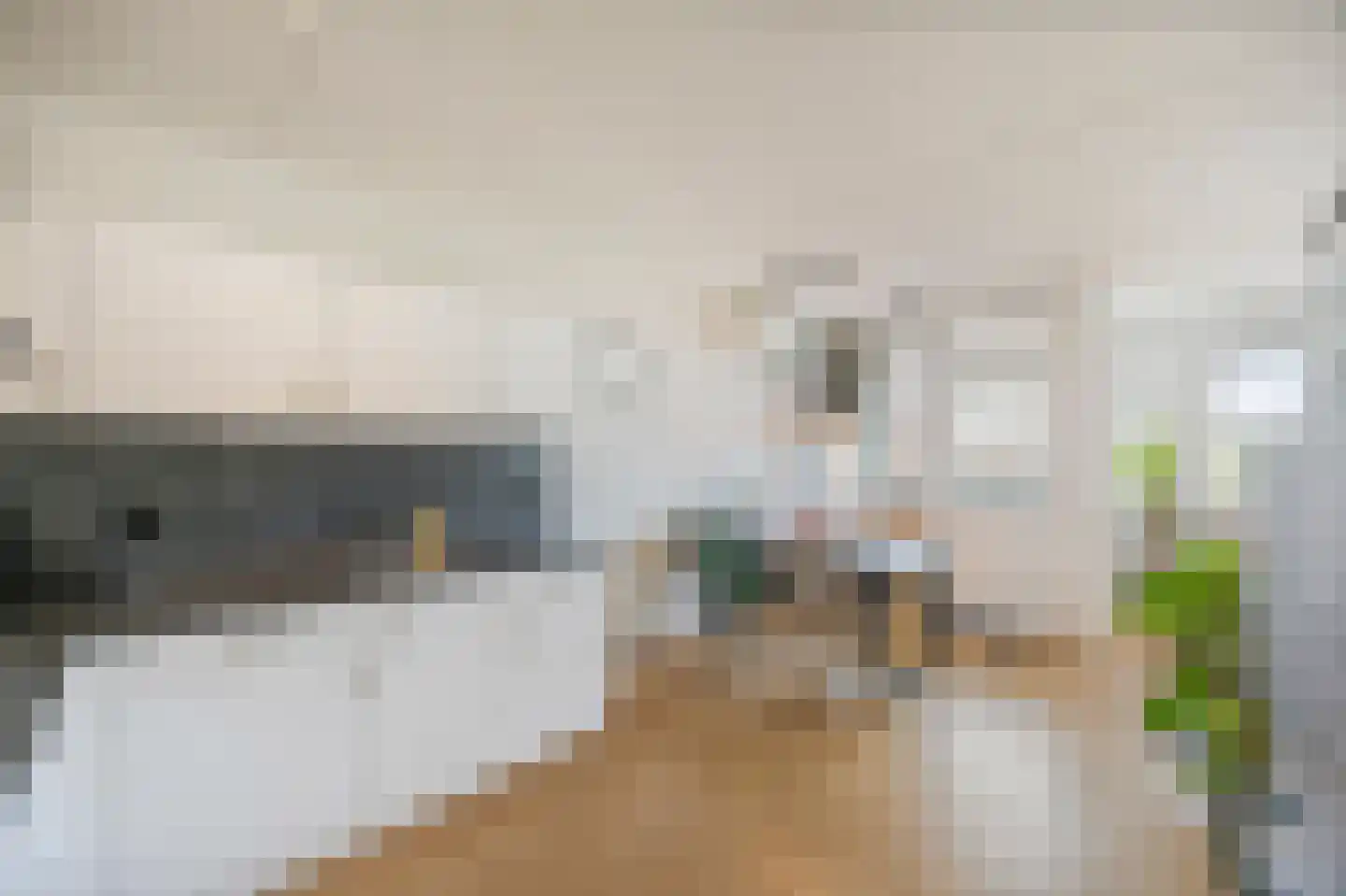 Peijerstraat 69 E Echt thumbnail 24
