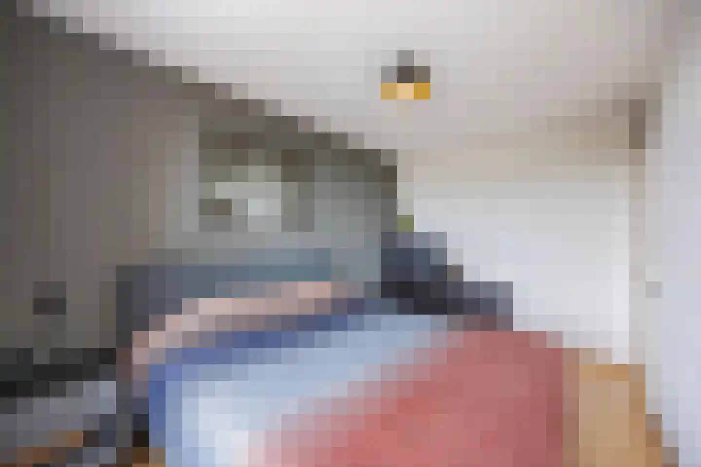 Peijerstraat 69 E Echt thumbnail 30