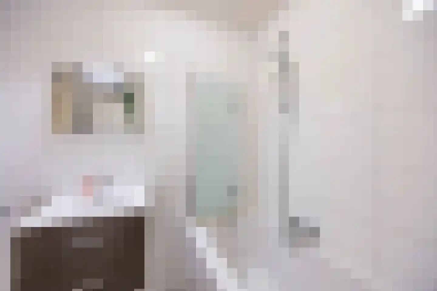 Peijerstraat 69 E Echt thumbnail 34