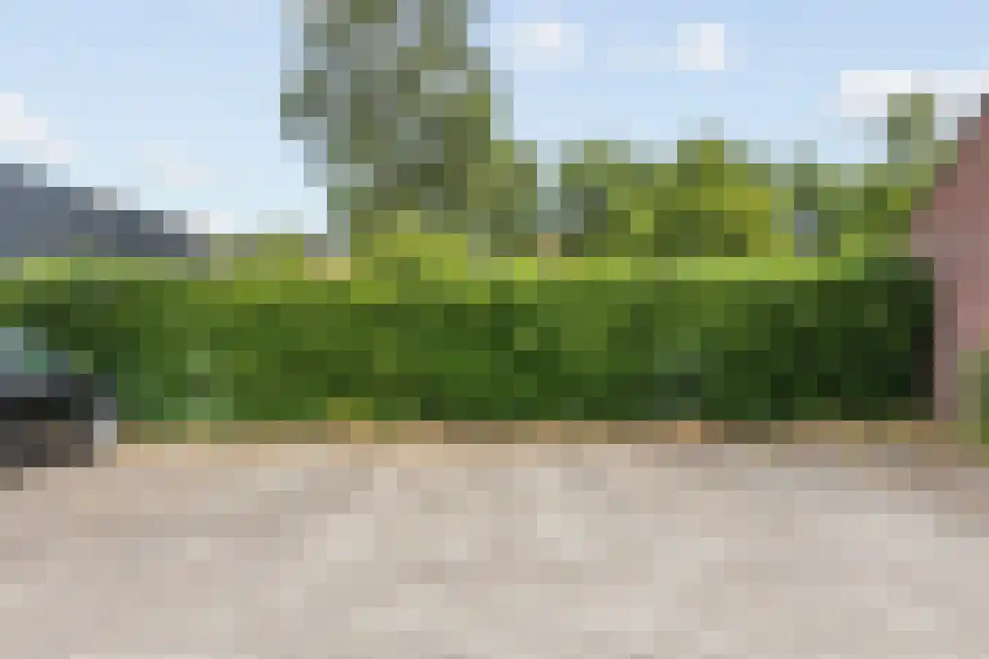 Peijerstraat 69 E Echt thumbnail 37