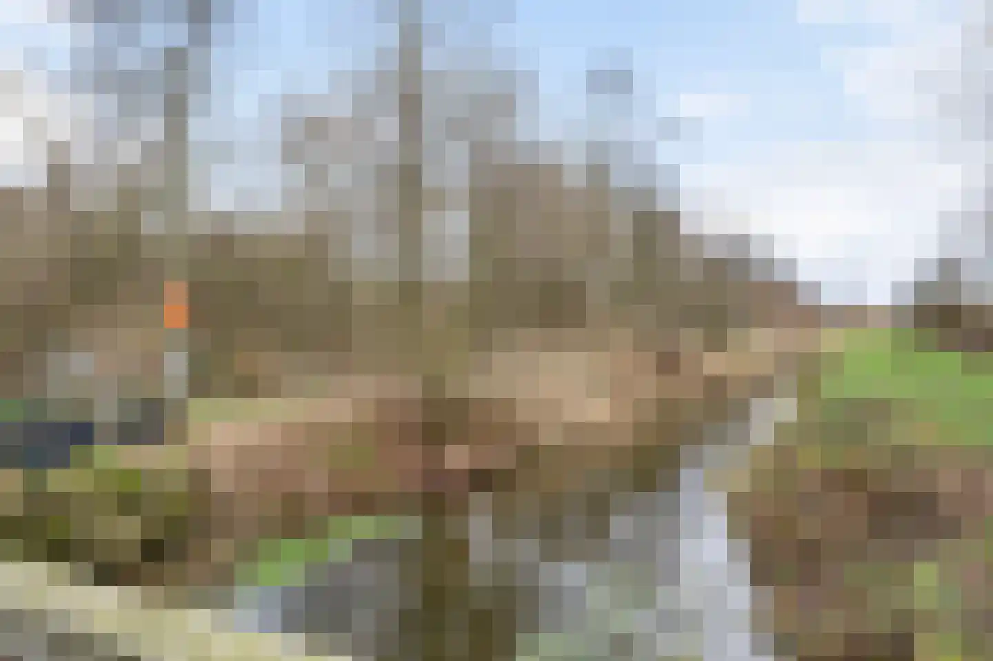 Peijerstraat 69 E Echt thumbnail 58