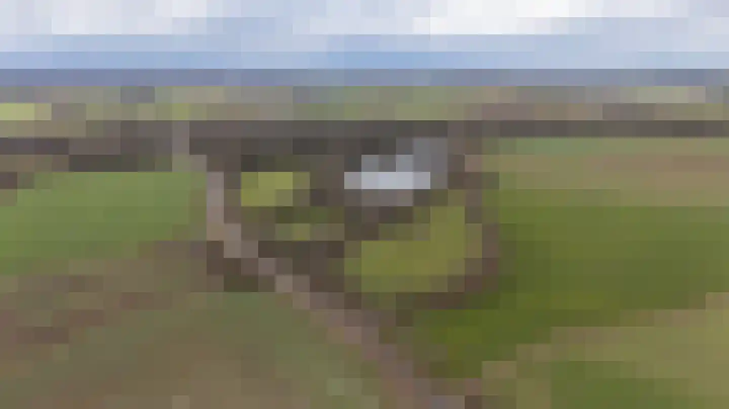 Peijerstraat 69 E Echt thumbnail 60