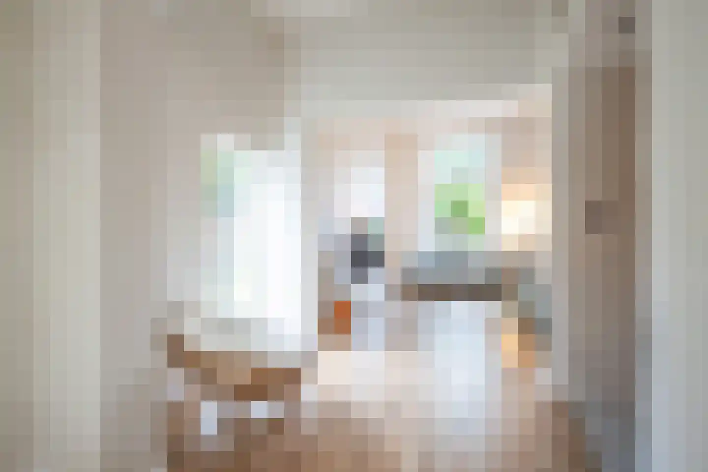 Peijerstraat 77 Echt thumbnail 10