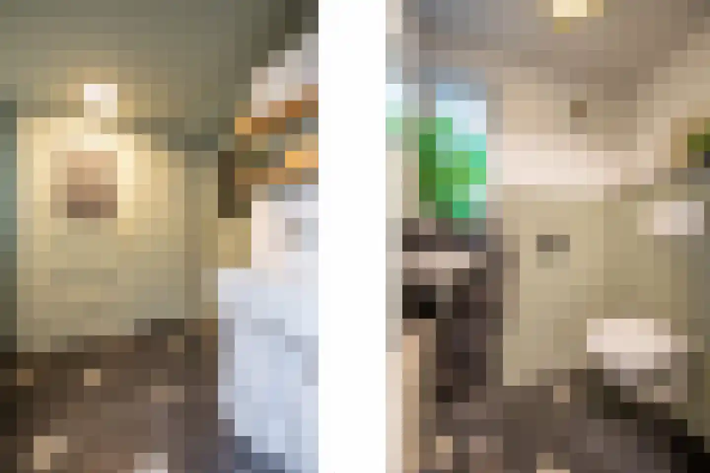 Peijerstraat 77 Echt thumbnail 20