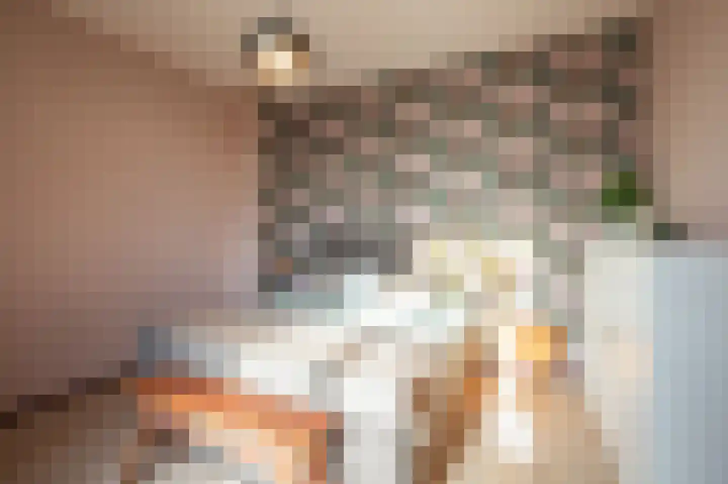 Peijerstraat 77 Echt thumbnail 24