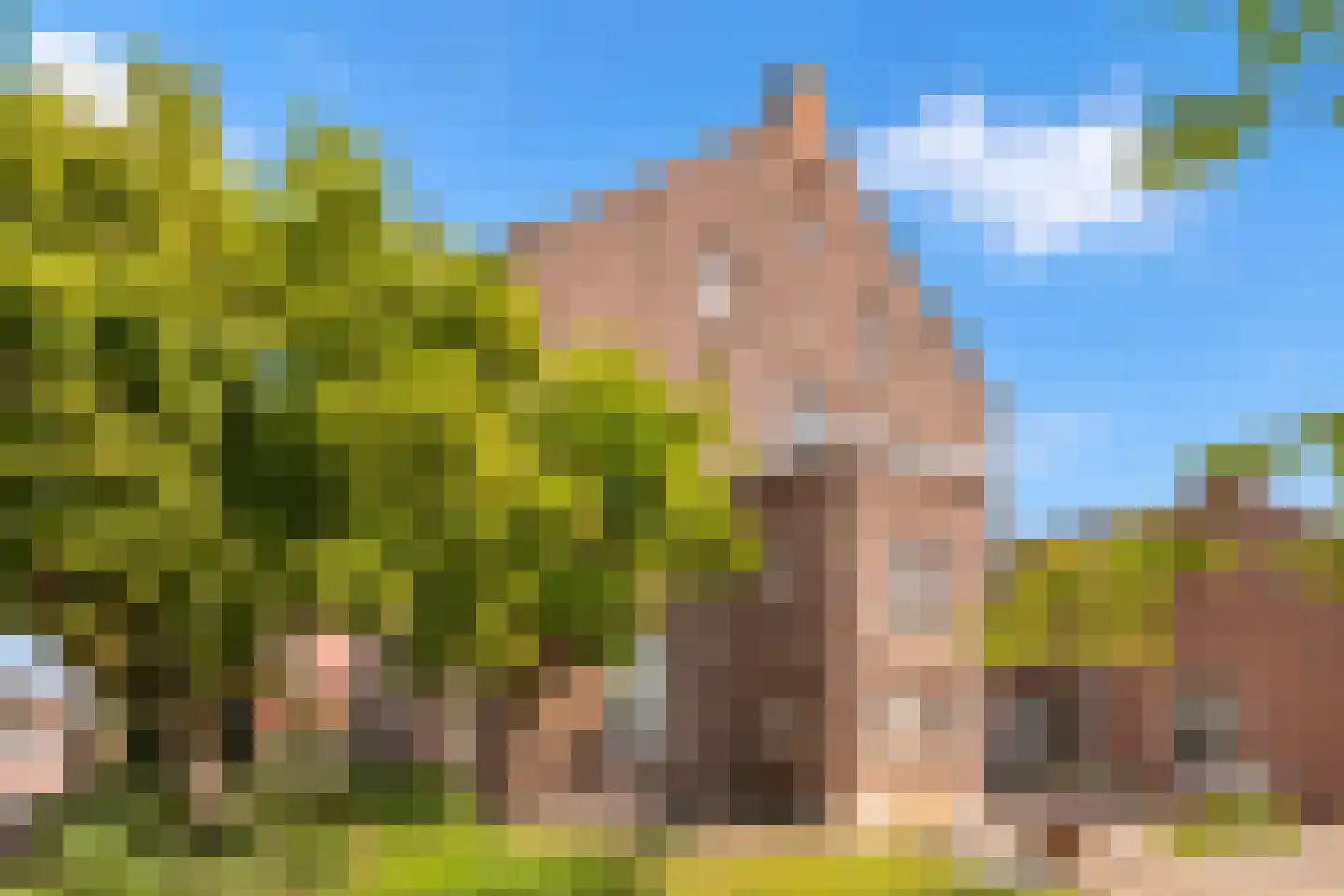 Peijerstraat 77 Echt thumbnail 43
