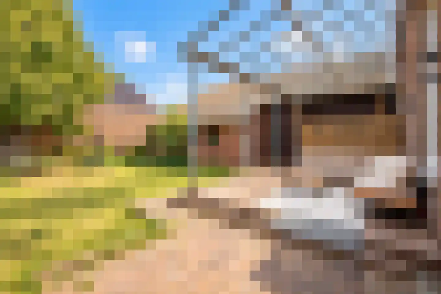 Peijerstraat 77 Echt thumbnail 6