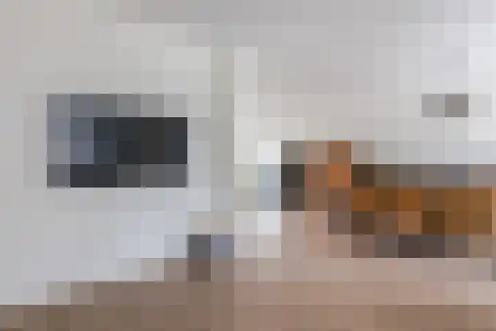 Peijerstraat 92 Echt thumbnail 10