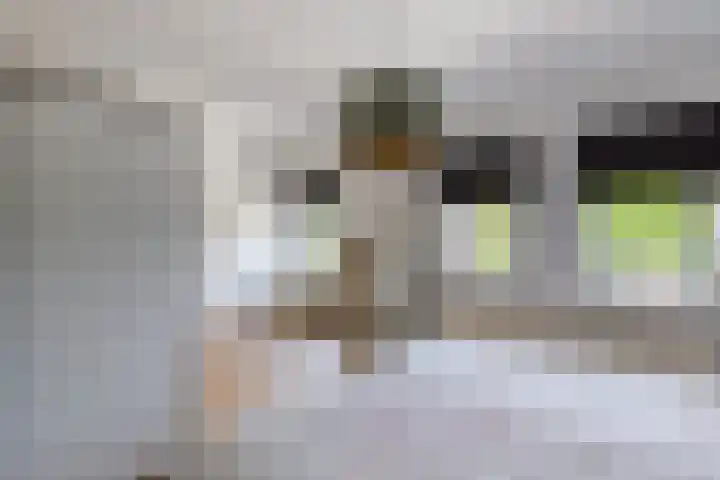 Peijerstraat 92 Echt thumbnail 23