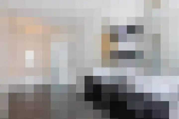 Peijerstraat 92 Echt thumbnail 29