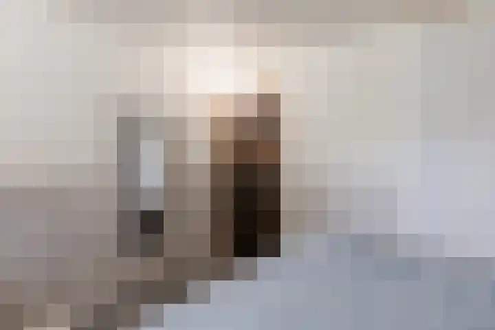 Peijerstraat 92 Echt thumbnail 36