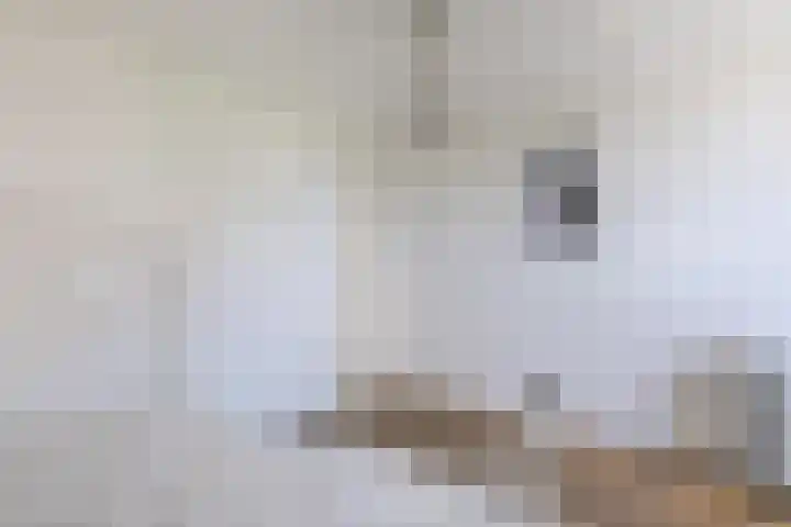 Peijerstraat 92 Echt thumbnail 38