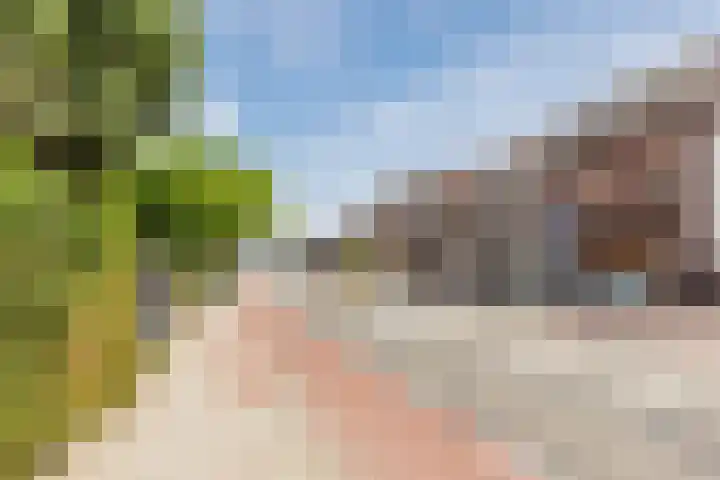 Peijerstraat 92 Echt thumbnail 4