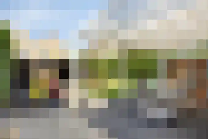 Peilschaal 18 Oss thumbnail 6