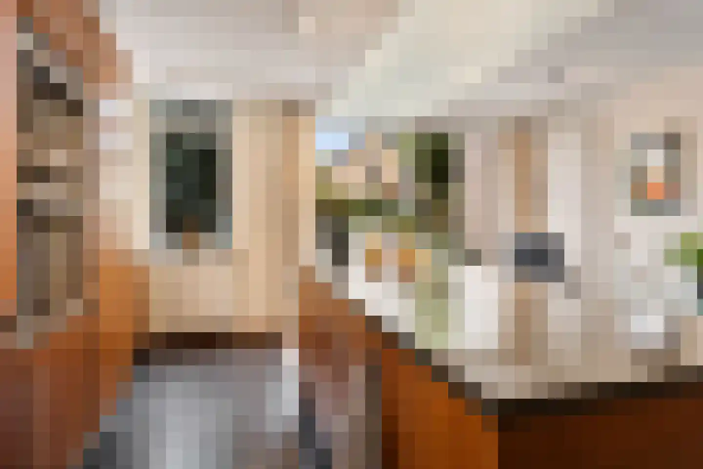 Peilschaal 22 Oss thumbnail 14