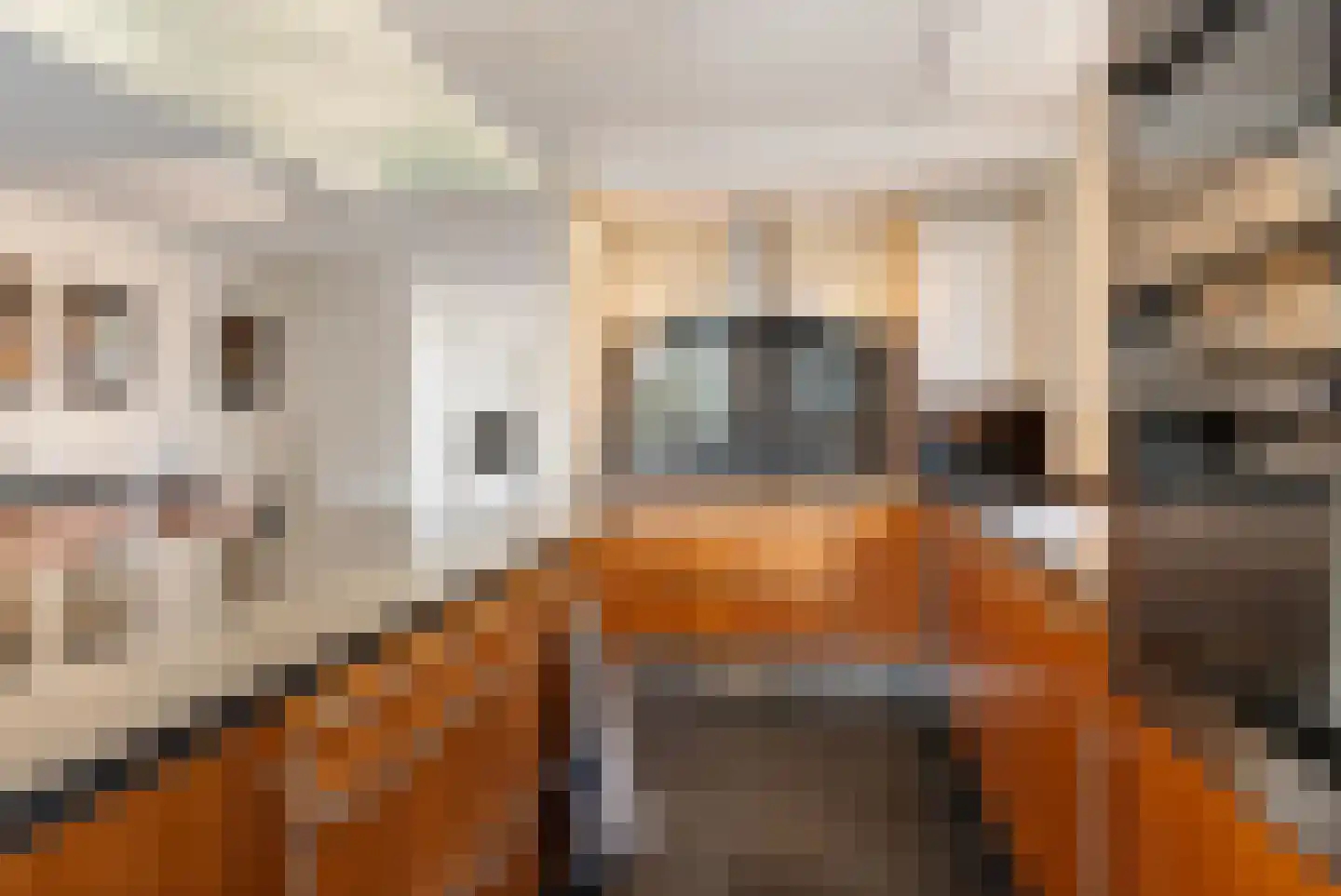 Peilschaal 22 Oss thumbnail 15