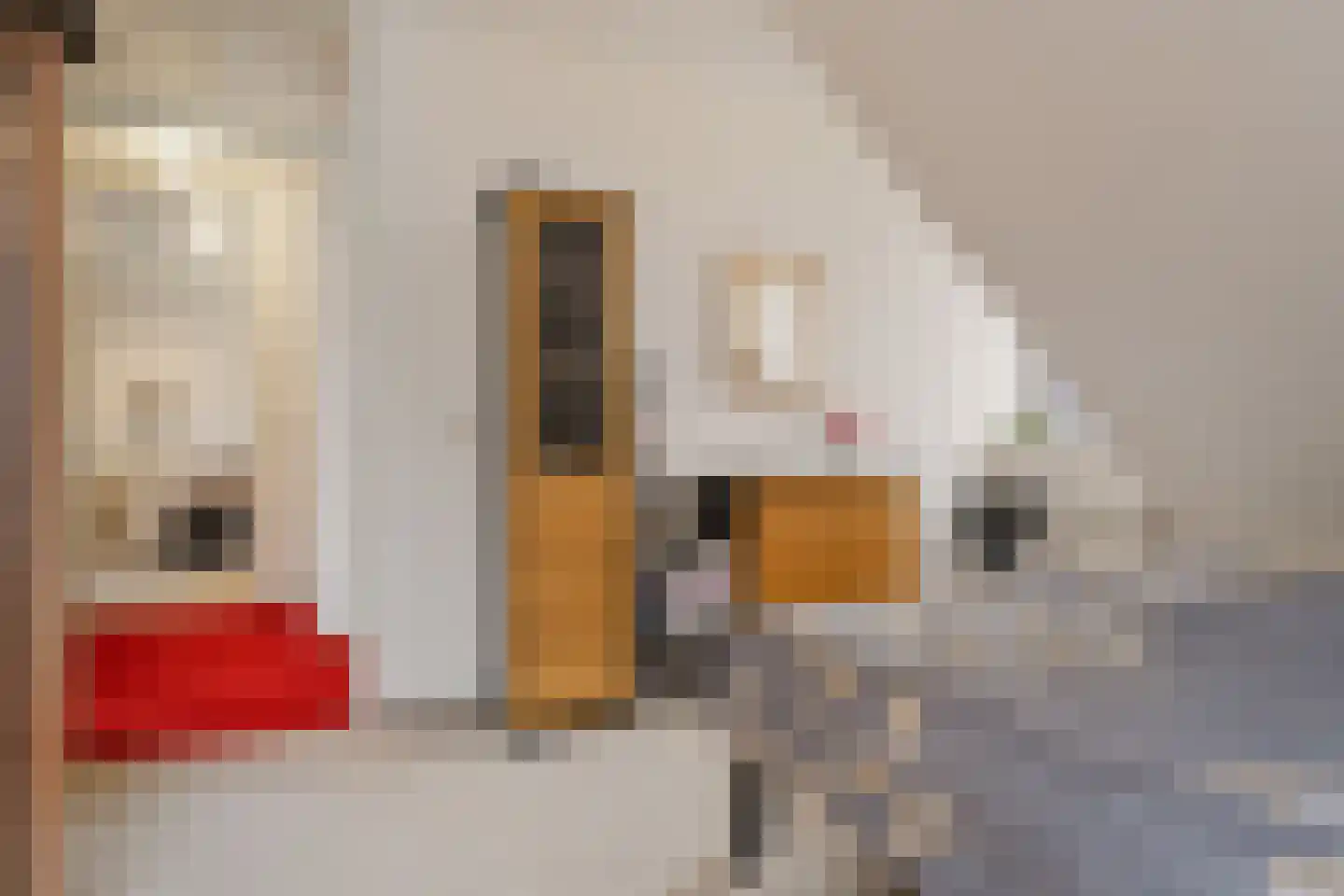 Peilschaal 22 Oss thumbnail 29