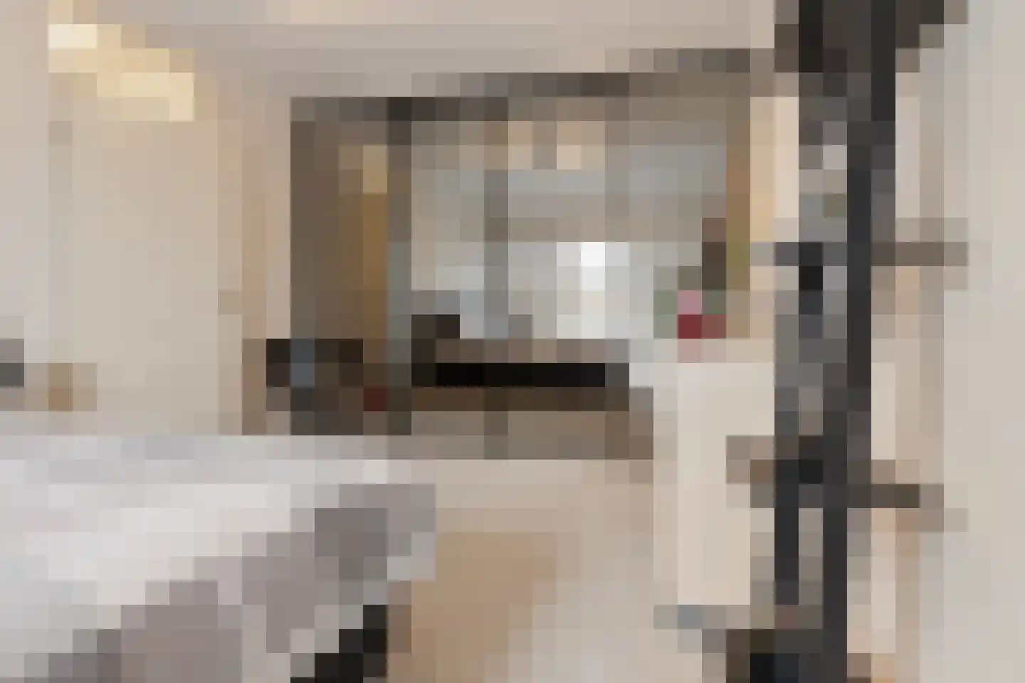 Peilschaal 22 Oss thumbnail 34