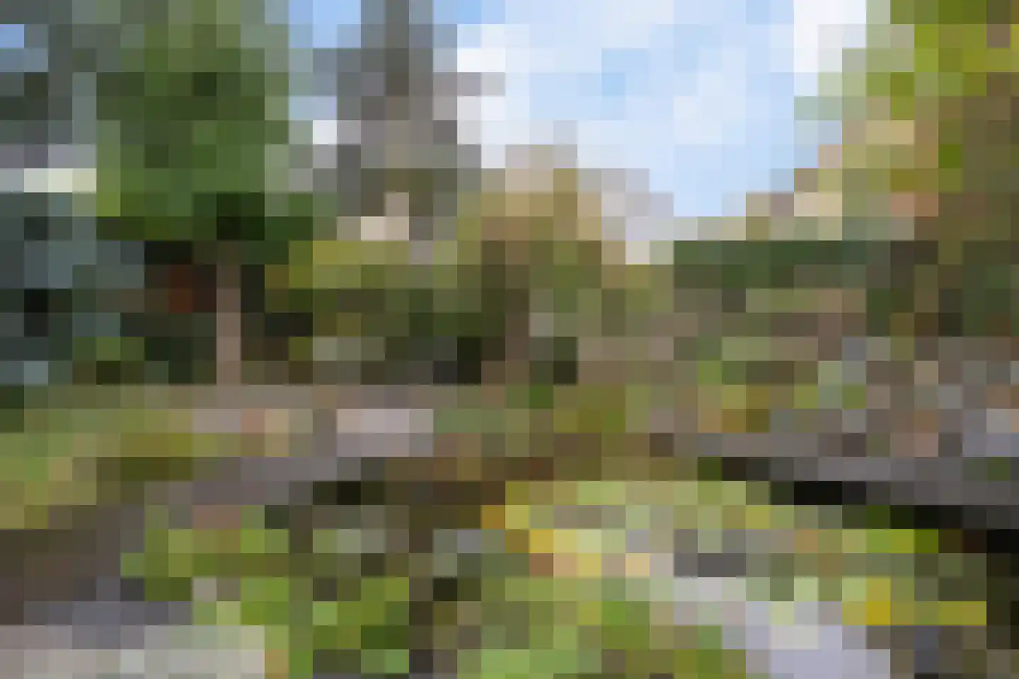 Peilschaal 22 Oss thumbnail 45