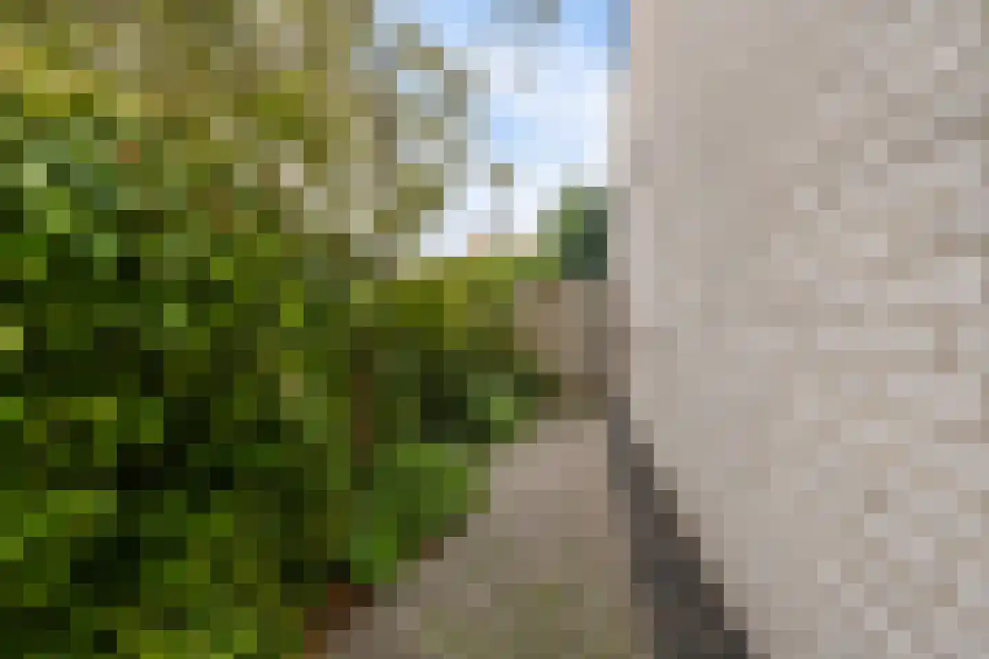 Peilschaal 22 Oss thumbnail 47