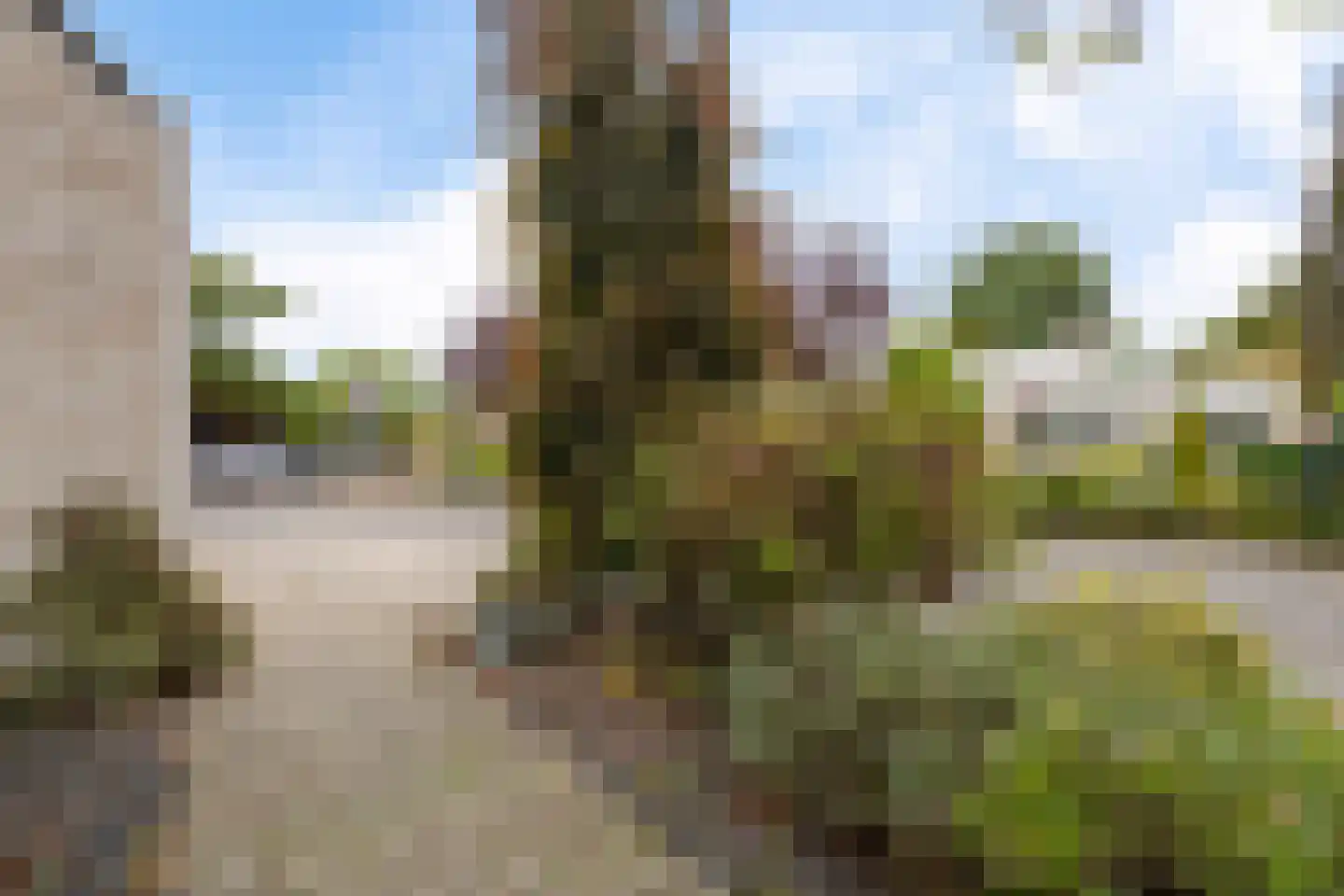 Peilschaal 22 Oss thumbnail 51