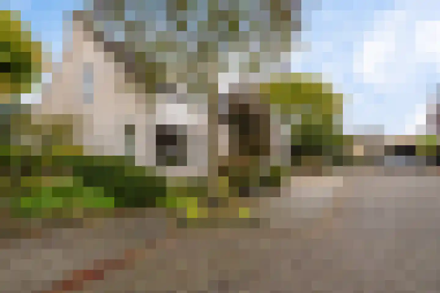 Peilschaal 22 Oss thumbnail 52