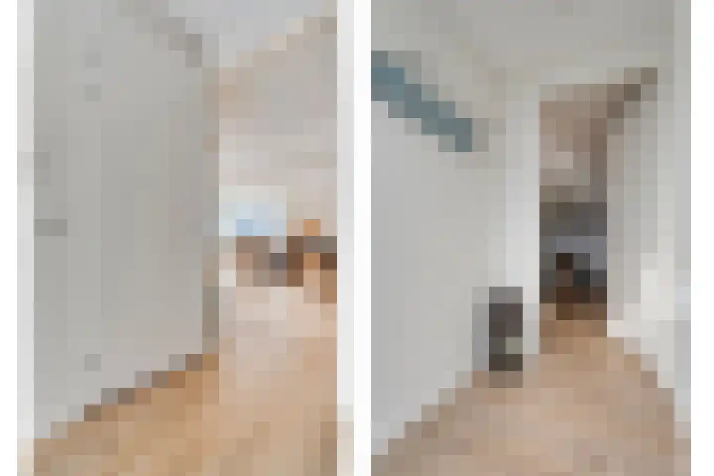 Peilschaal 4 Noordscheschut thumbnail 15