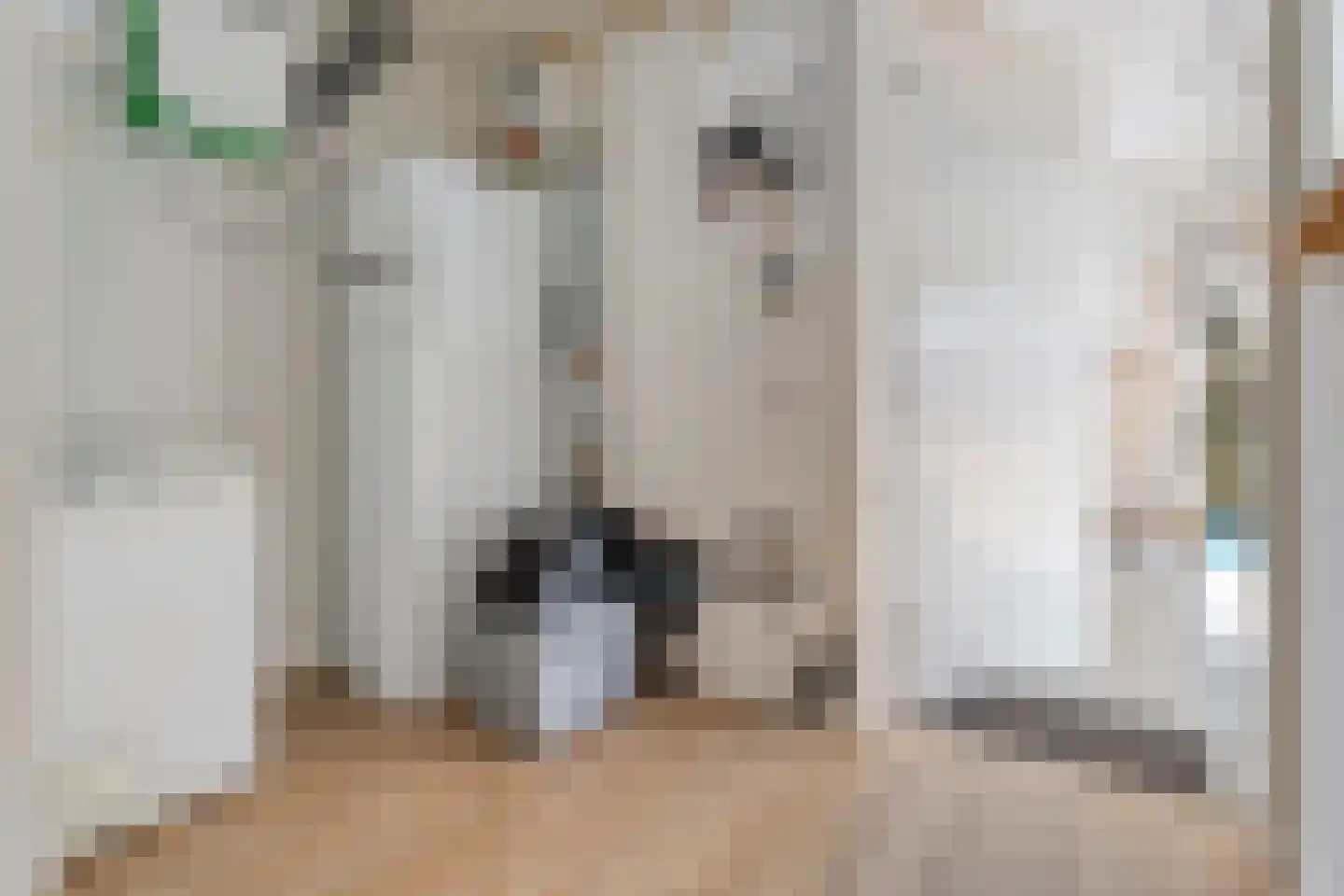 Peilschaal 4 Noordscheschut thumbnail 19