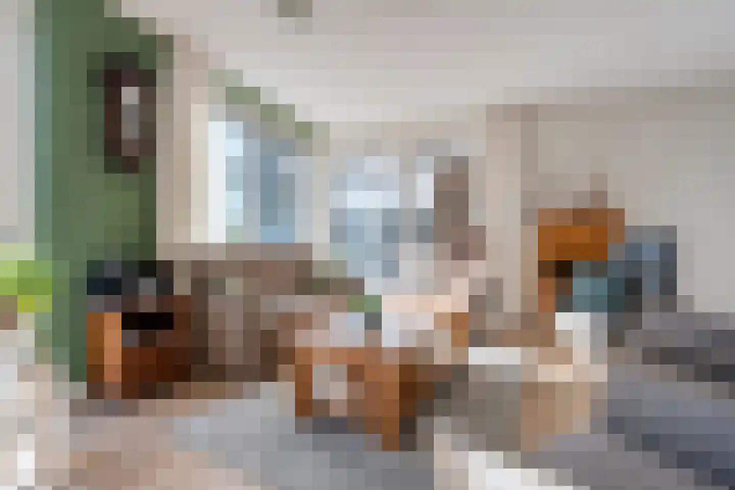 Peilschaal 4 Noordscheschut foto 2