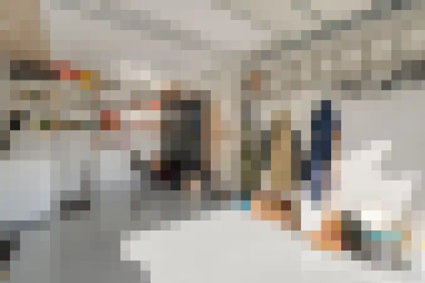 Peilschaal 4 Noordscheschut thumbnail 20