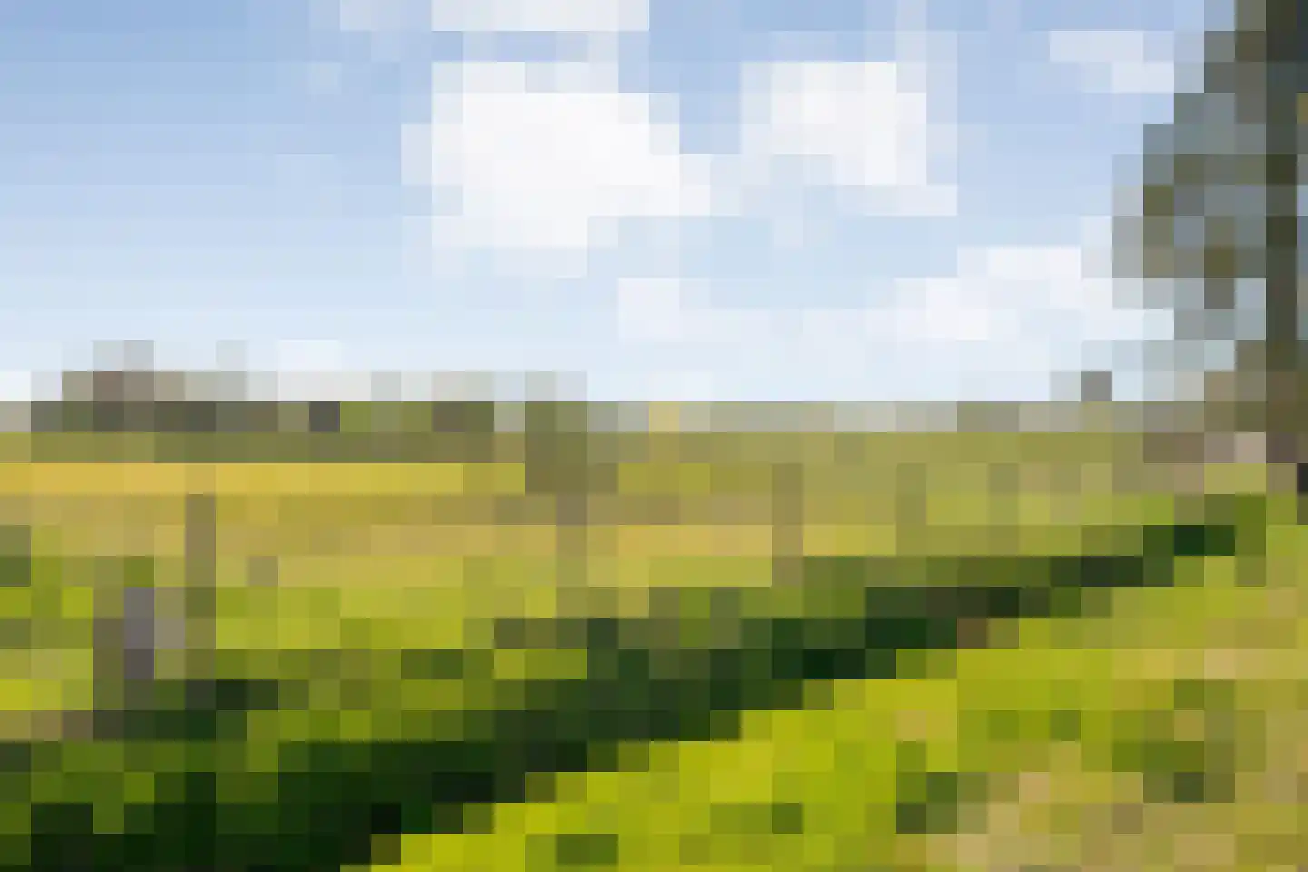 Peilschaal 4 Noordscheschut thumbnail 28