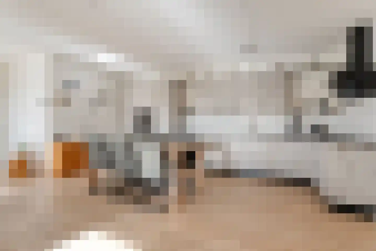 Peilschaal 4 Noordscheschut thumbnail 4