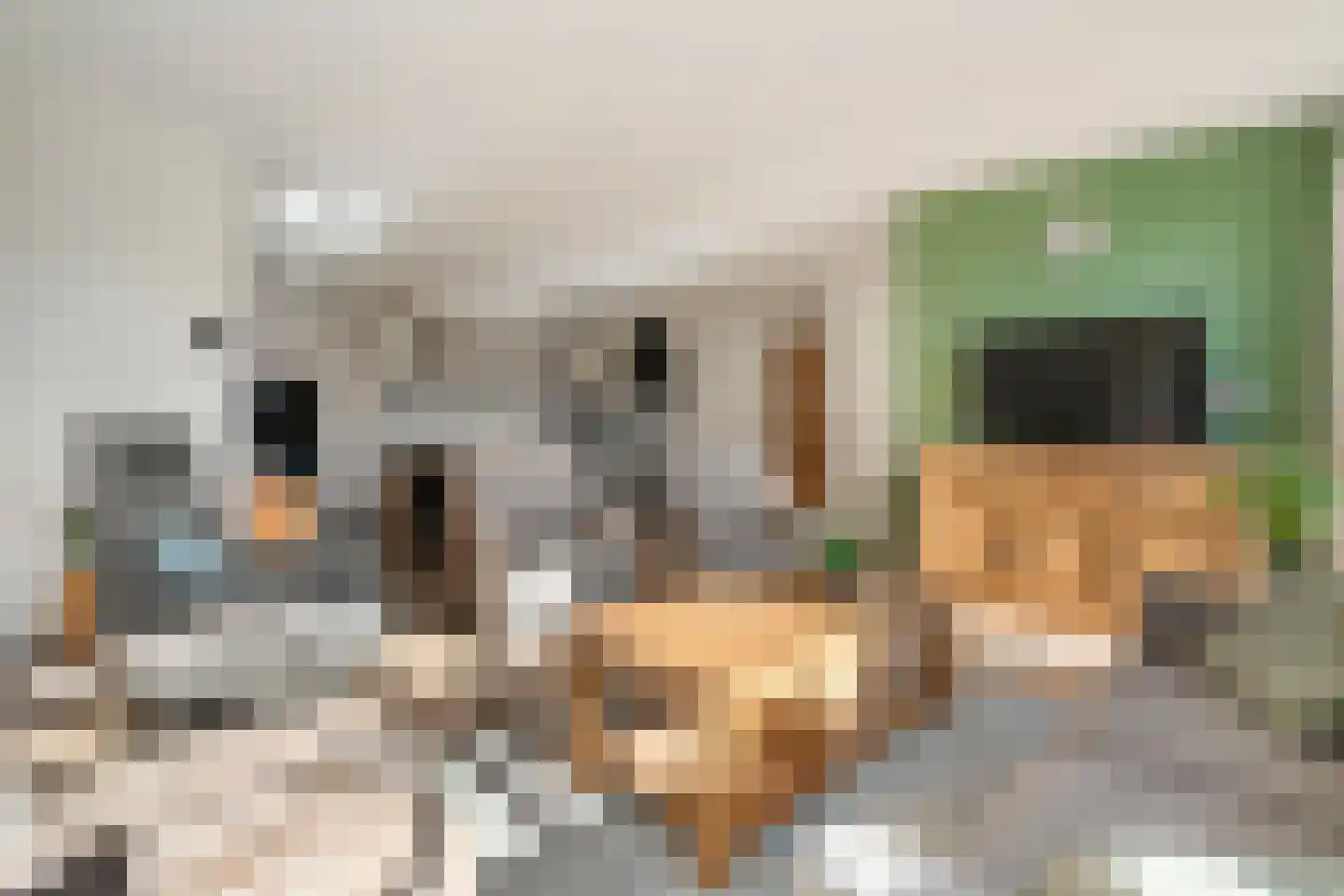 Peilschaal 4 Noordscheschut thumbnail 8
