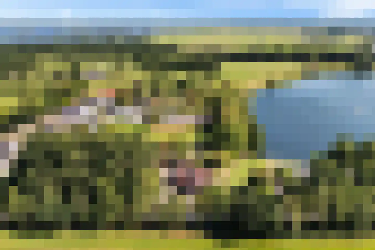 Peinderwei 41 De Tike thumbnail 10