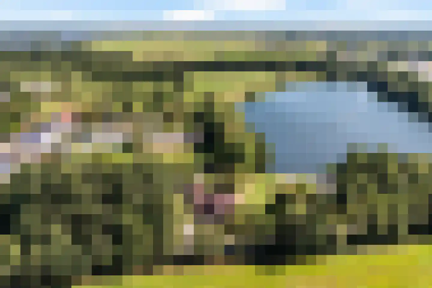 Peinderwei 41 De Tike thumbnail 11
